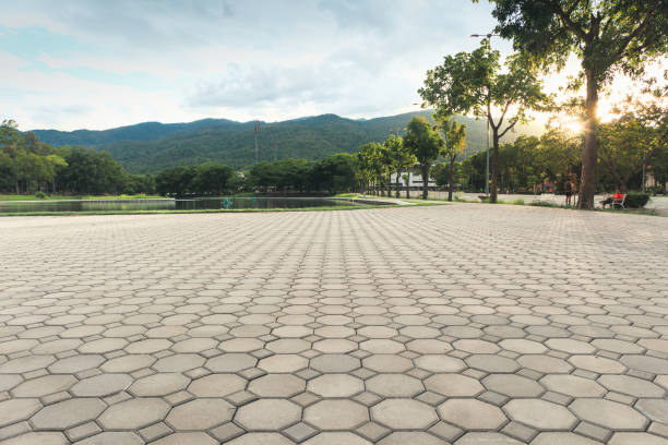 Best Local Driveway Pavers  in West Union, OH